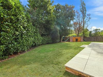 Picture 26